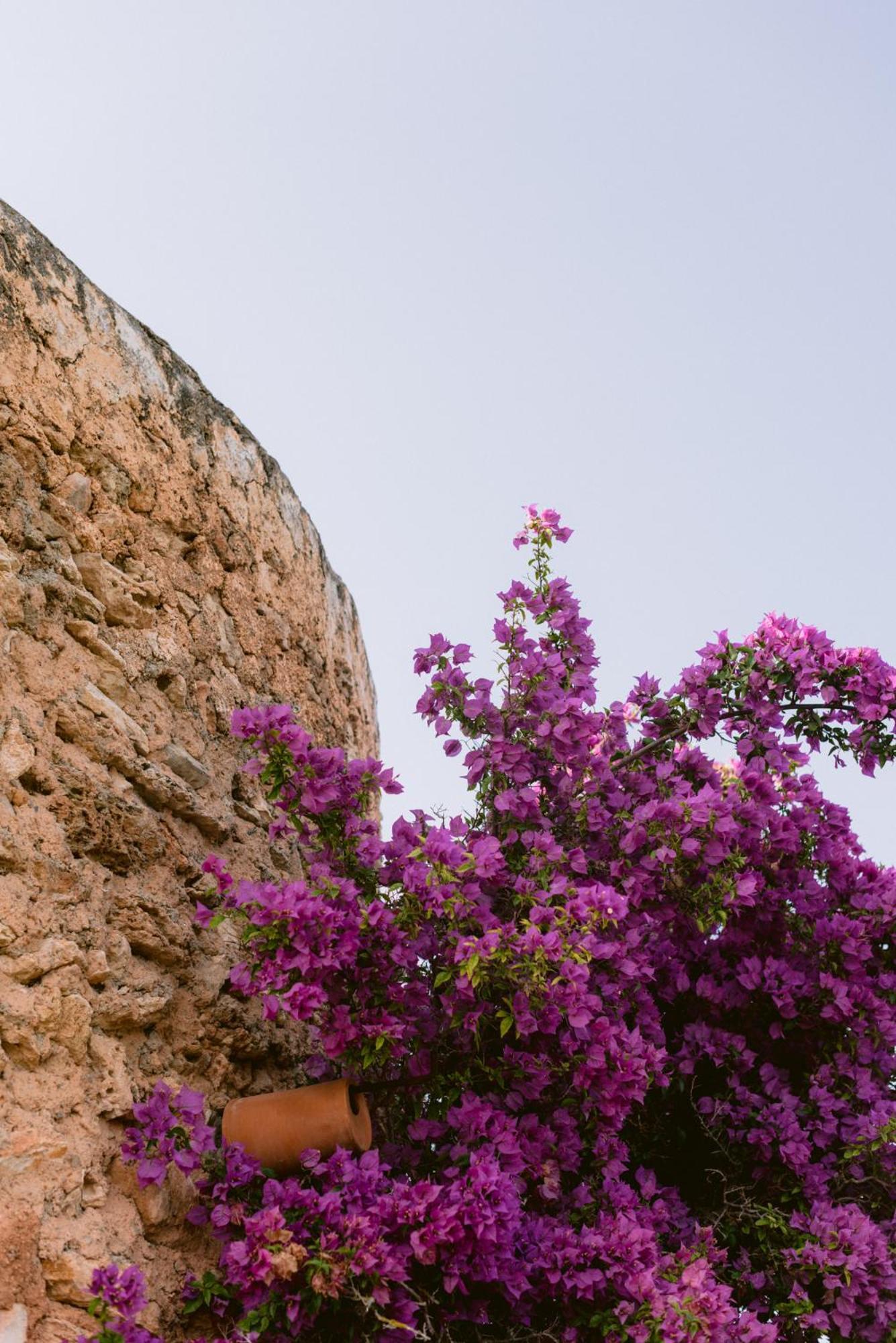 Can Quince Balafia Ibiza Hotel - Turismo De Interior Sant Llorenç de Balàfia Exterior foto